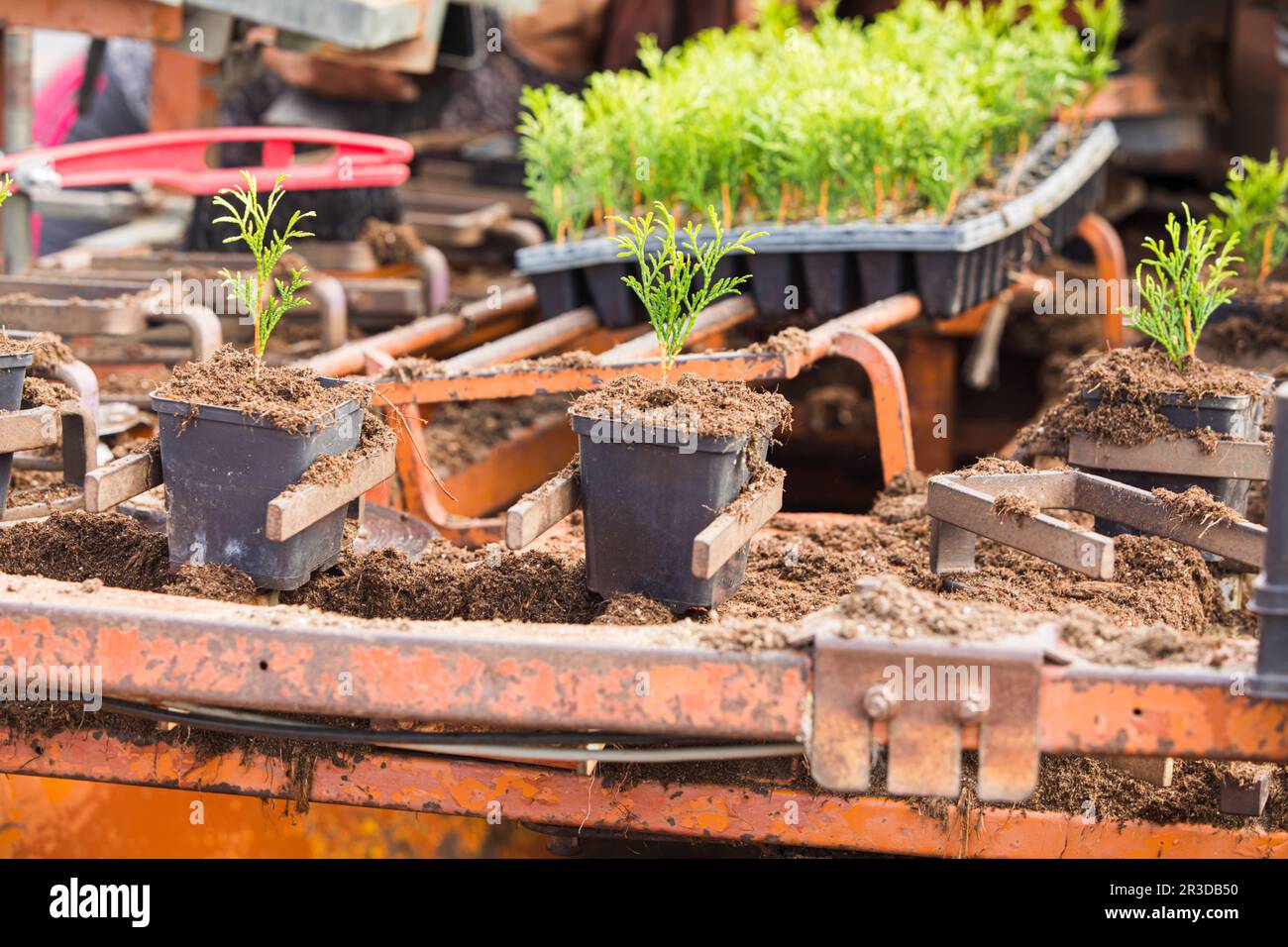 Utiliser le développement de machines agricoles pour automatiser l'agriculture Banque D'Images