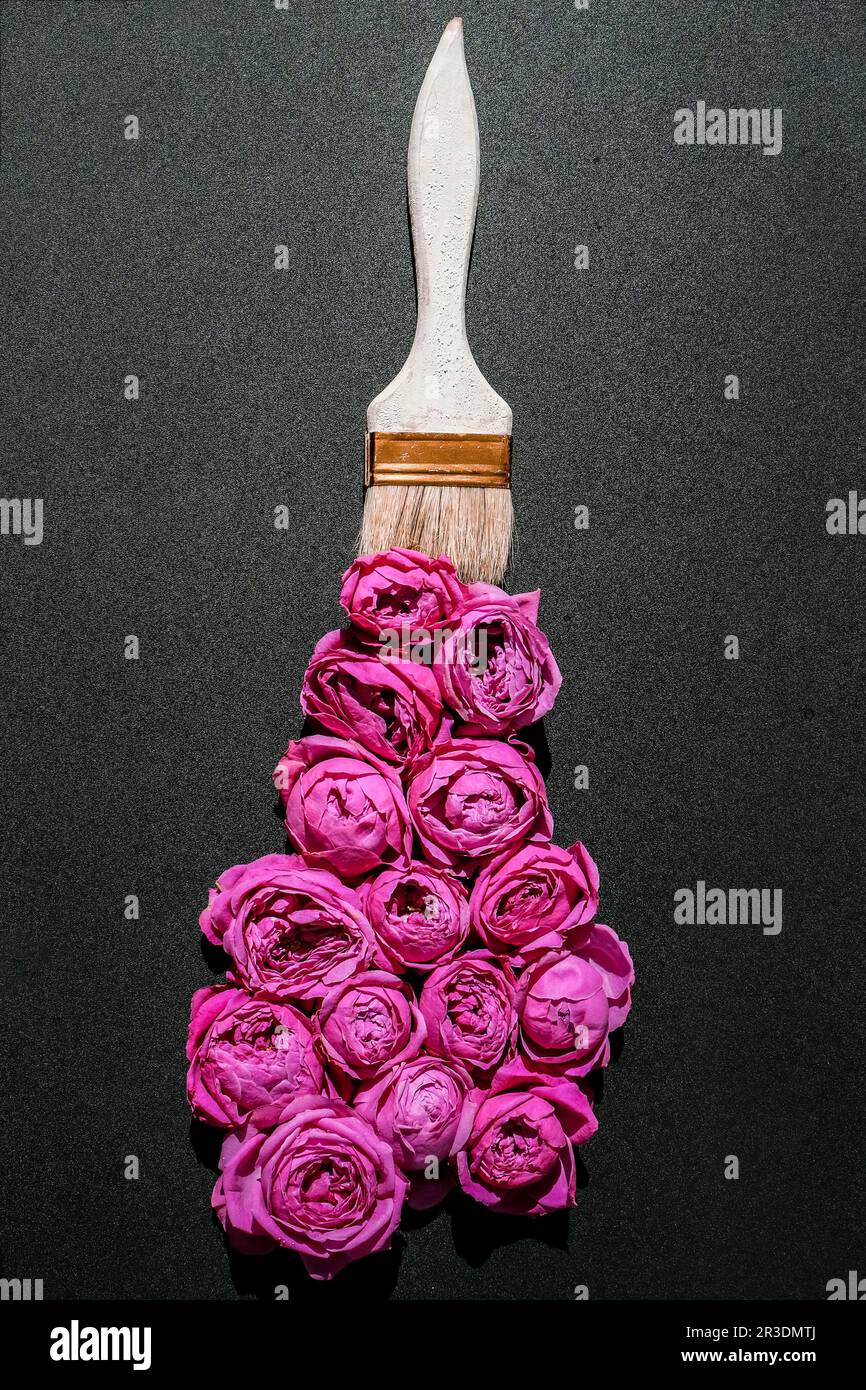 Dessin au pinceau avec des fleurs roses sur fond noir. Le concept du printemps et de la Journée internationale des mères de femmes. PA floral Banque D'Images