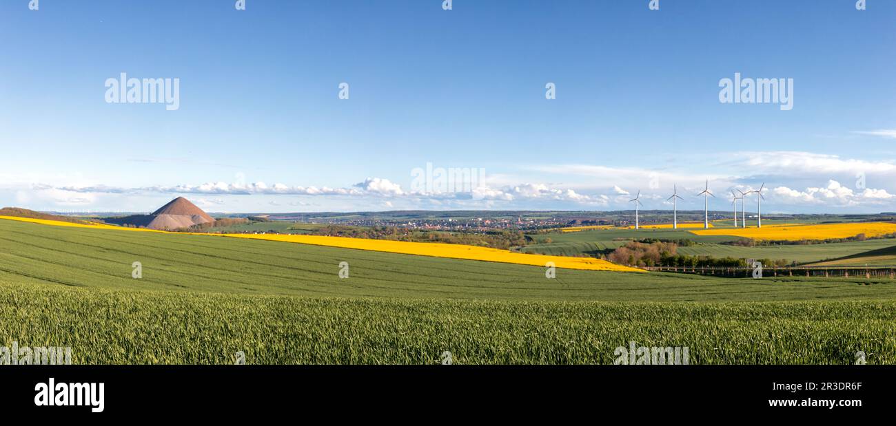 Vue panoramique paysage Mansfeld campagne avec des décharges minières Banque D'Images