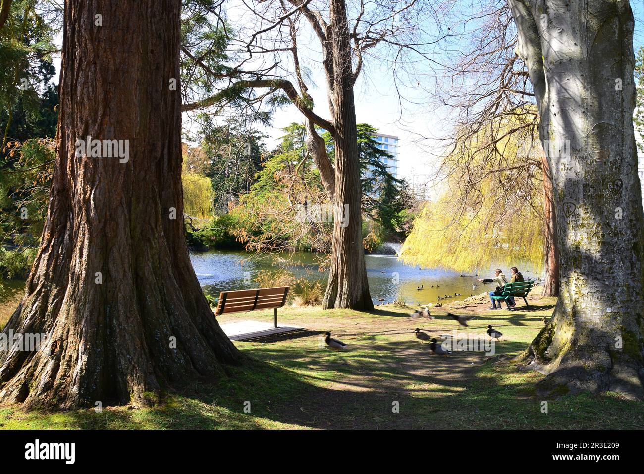 Les gens se détendent et s'amusent dans le parc Beacon Hill à Victoria, en Colombie-Britannique, au Canada Banque D'Images