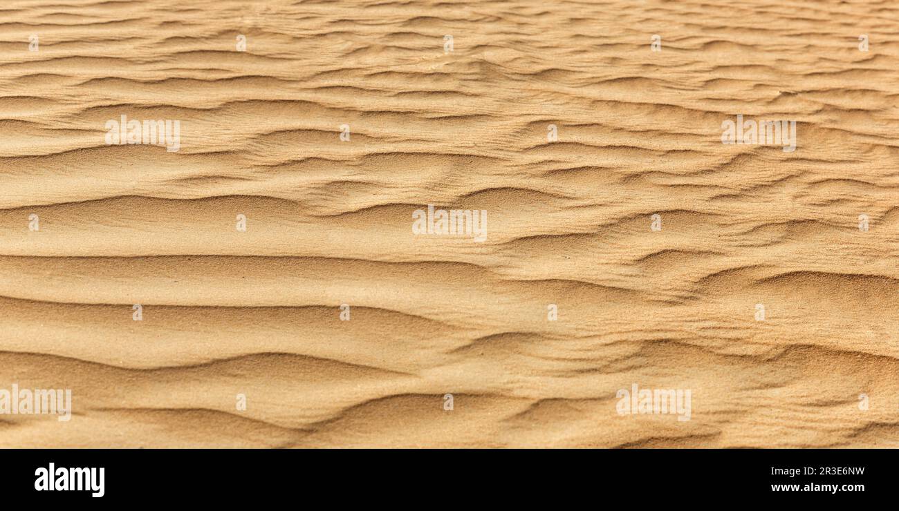 Sable du désert de Dubaï dans le panorama des Émirats arabes Unis Banque D'Images
