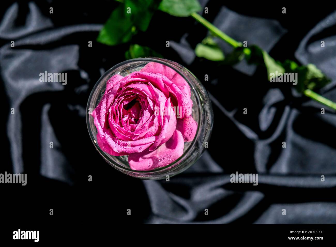 Verre à vin rempli d'une table de pétalson à fleurs roses avec tissu en soie noire. Une vie moderne et minimale. Concept de vacances Valentines Banque D'Images
