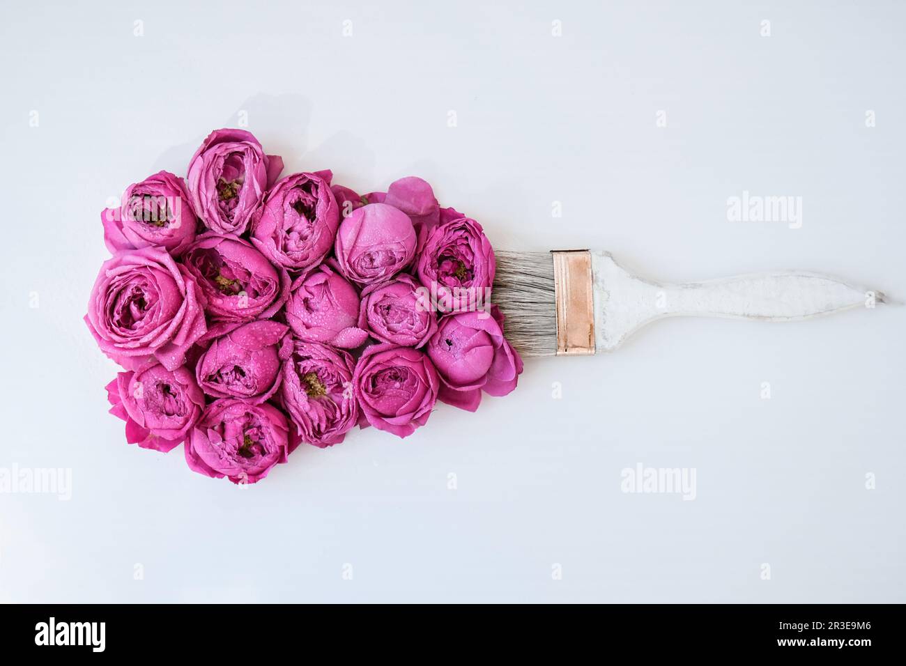 Dessin au pinceau avec des fleurs roses sur fond blanc. Le concept du printemps et de la Journée internationale des mères de femmes. PA floral Banque D'Images