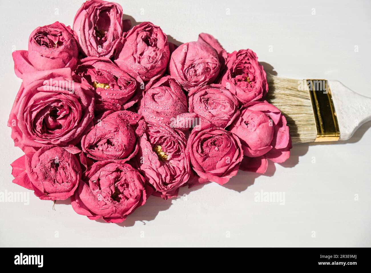 Dessin au pinceau avec des fleurs roses sur fond blanc. Le concept du printemps et de la Journée internationale des mères de femmes. PA floral Banque D'Images
