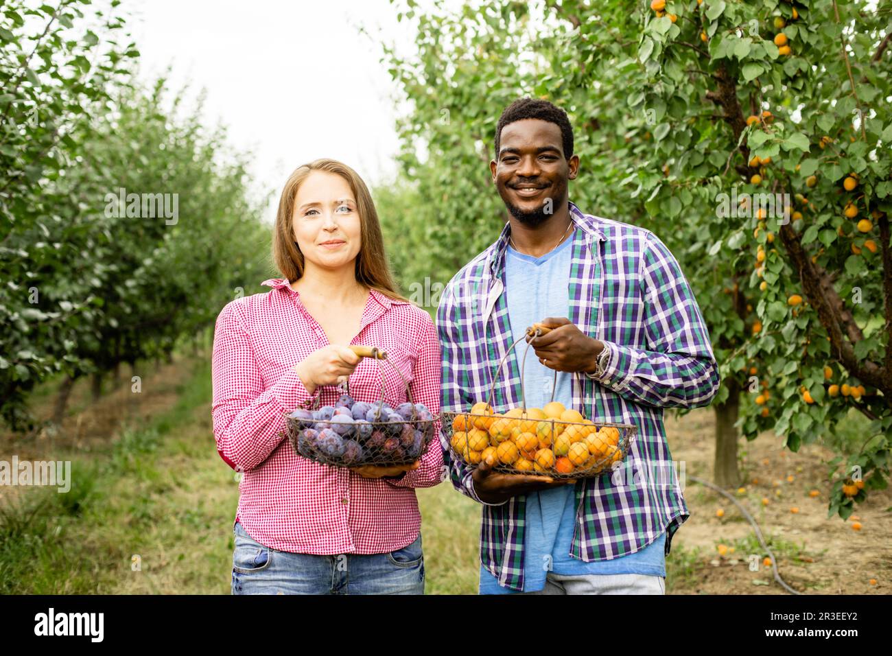 Bonne famille multiraciale dans leur jardin de fruits Banque D'Images