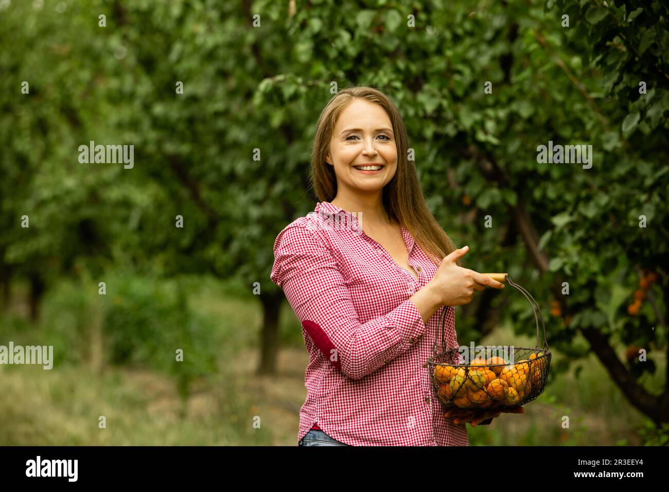 Femme souriante avec panier d'abricots dans le jardin Banque D'Images