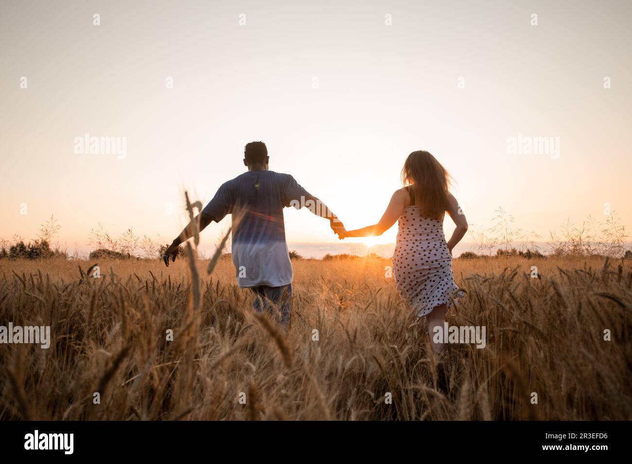 Jeune couple adulte tenant les mains en marchant dans le champ Banque D'Images
