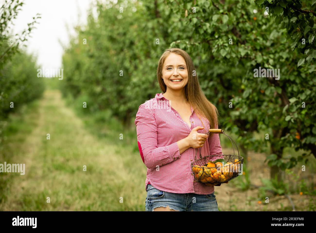 Femme souriante avec panier d'abricots dans le jardin Banque D'Images