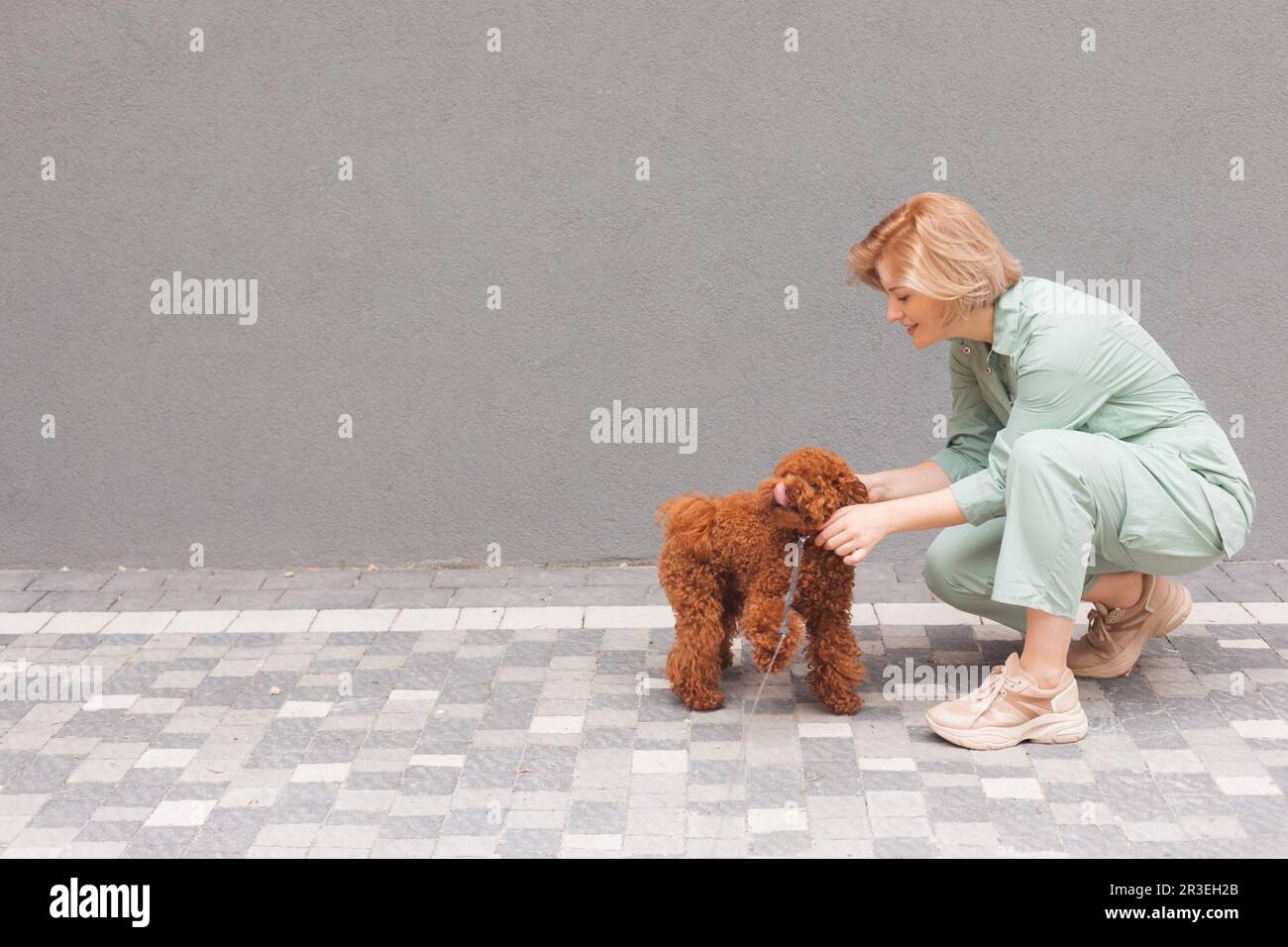 Une jeune femme joue avec un chien dans une rue Banque D'Images