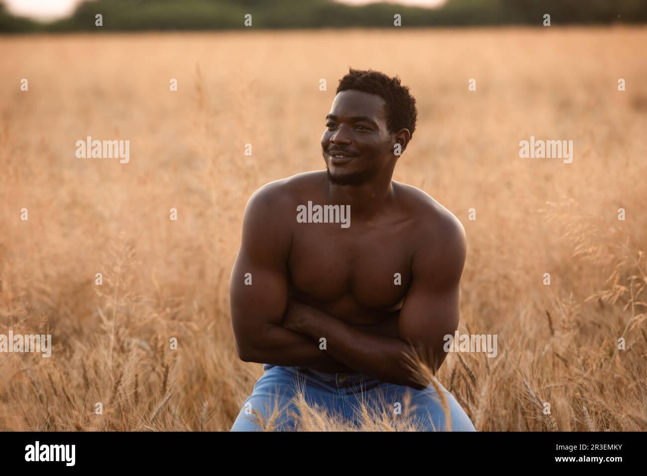 Homme sexuel posant sans crier dans le champ de grain Banque D'Images
