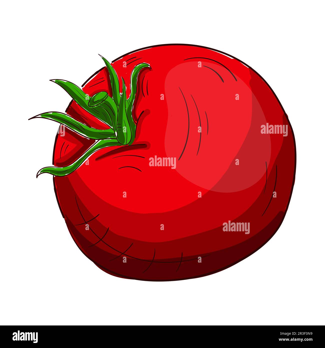 Tomates mûres fraîches réalistes sur fond blanc - Vector Banque D'Images