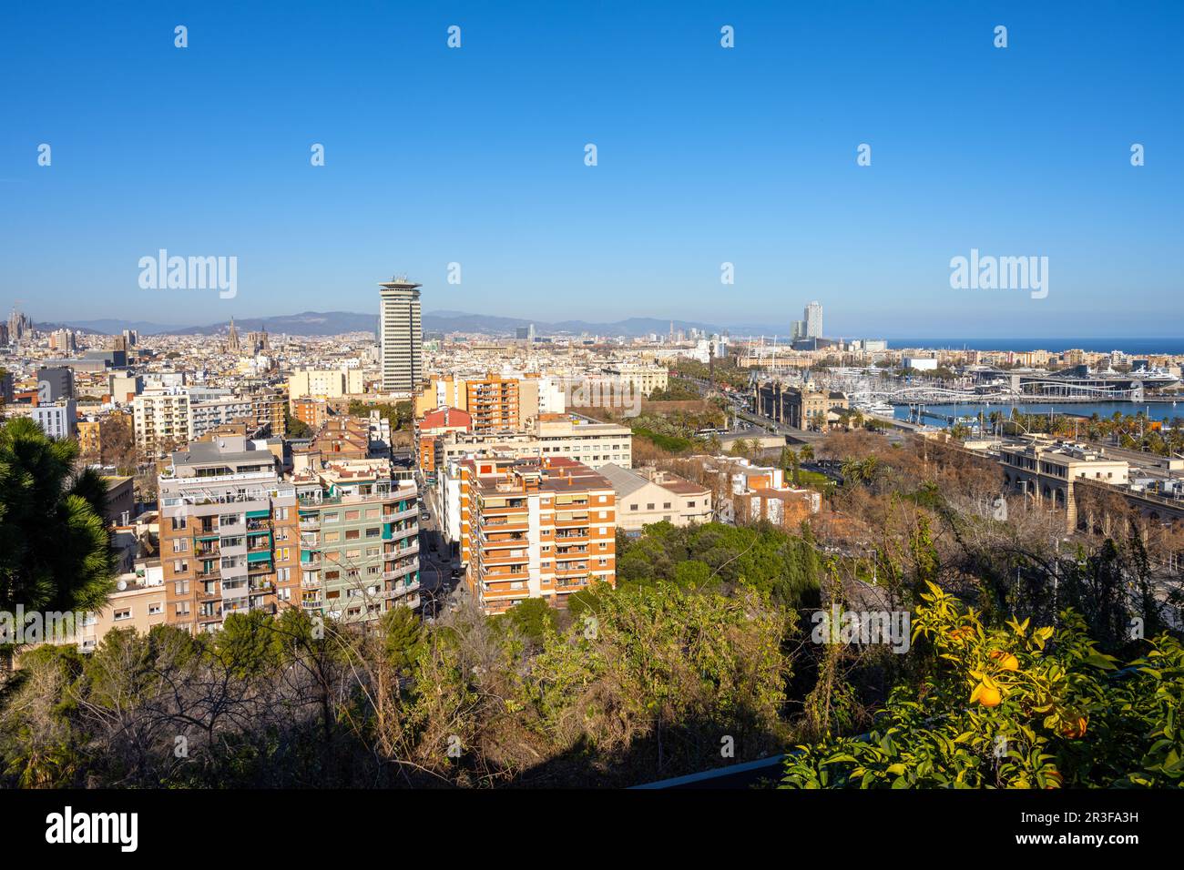 Vue sur Barcelone avec la statue de Columbus depuis la montagne Montjuic Banque D'Images