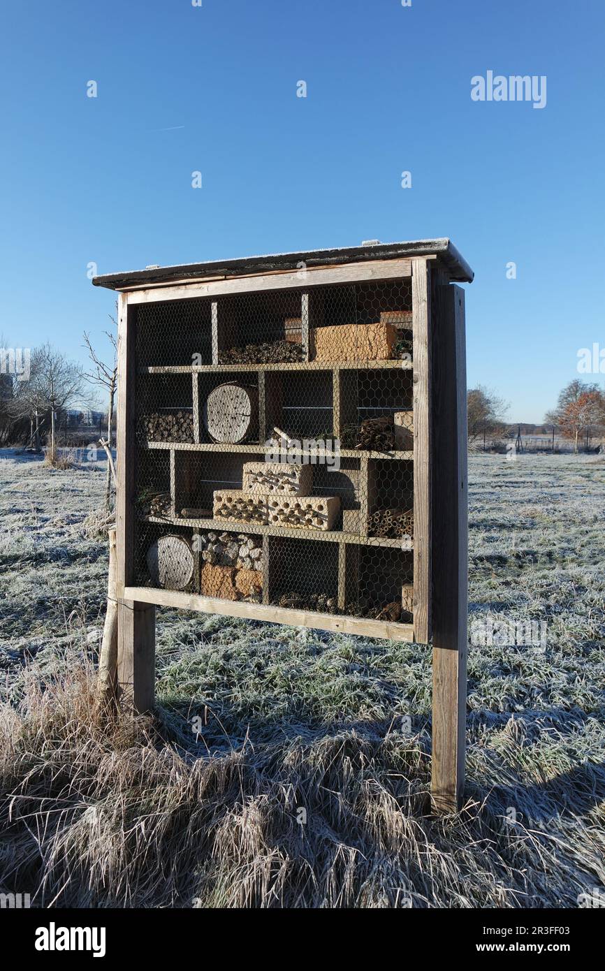 Hôtel insecte sur un pré Banque D'Images