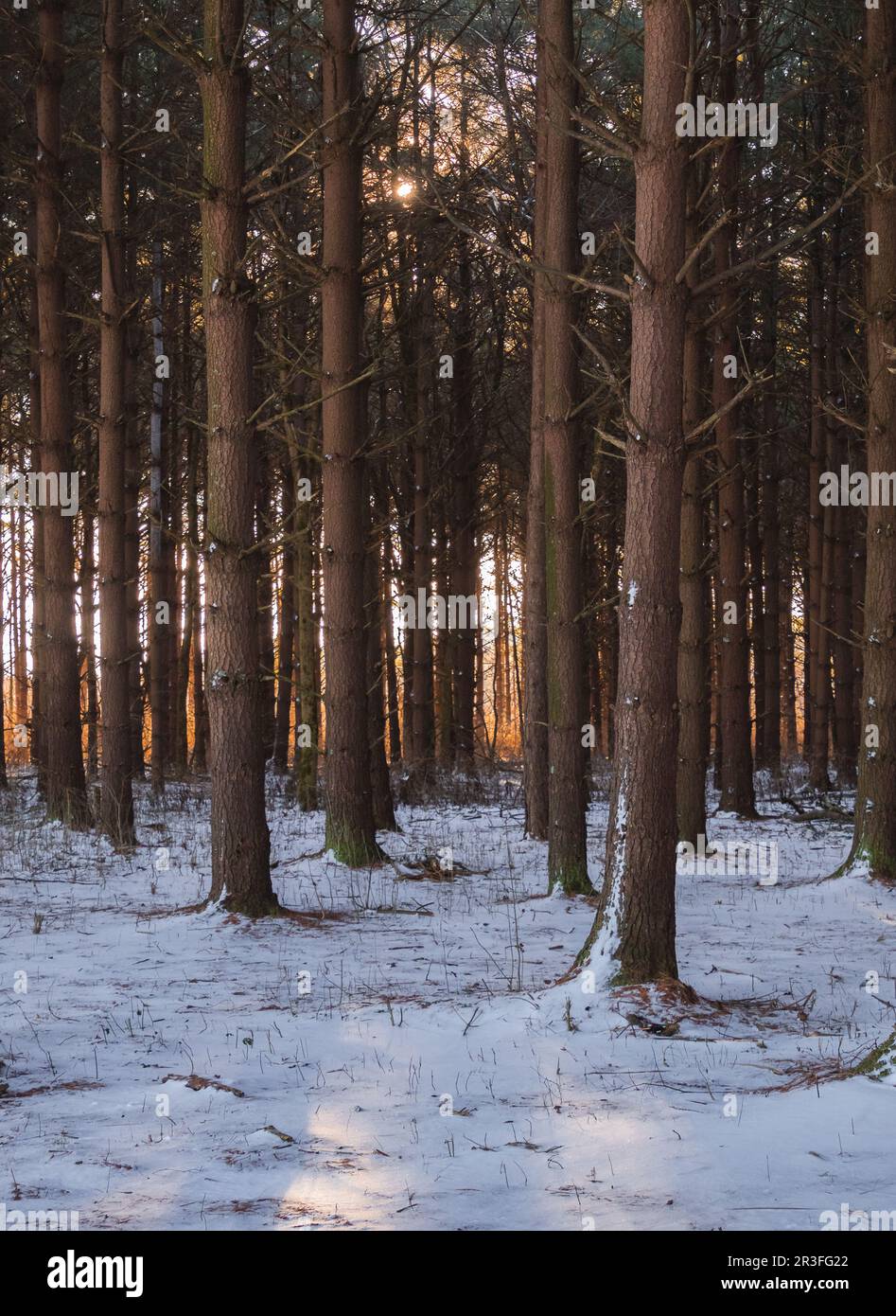 Matin calme Banque D'Images