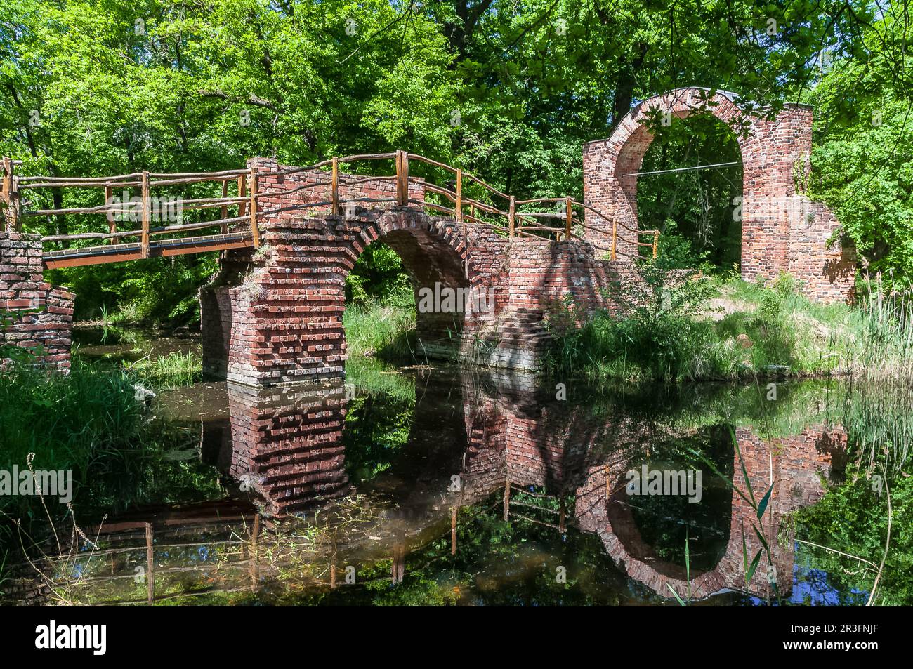 Pont de ruine Dessau-RoÃŸlau dans le parc Beccurbruch en été Banque D'Images