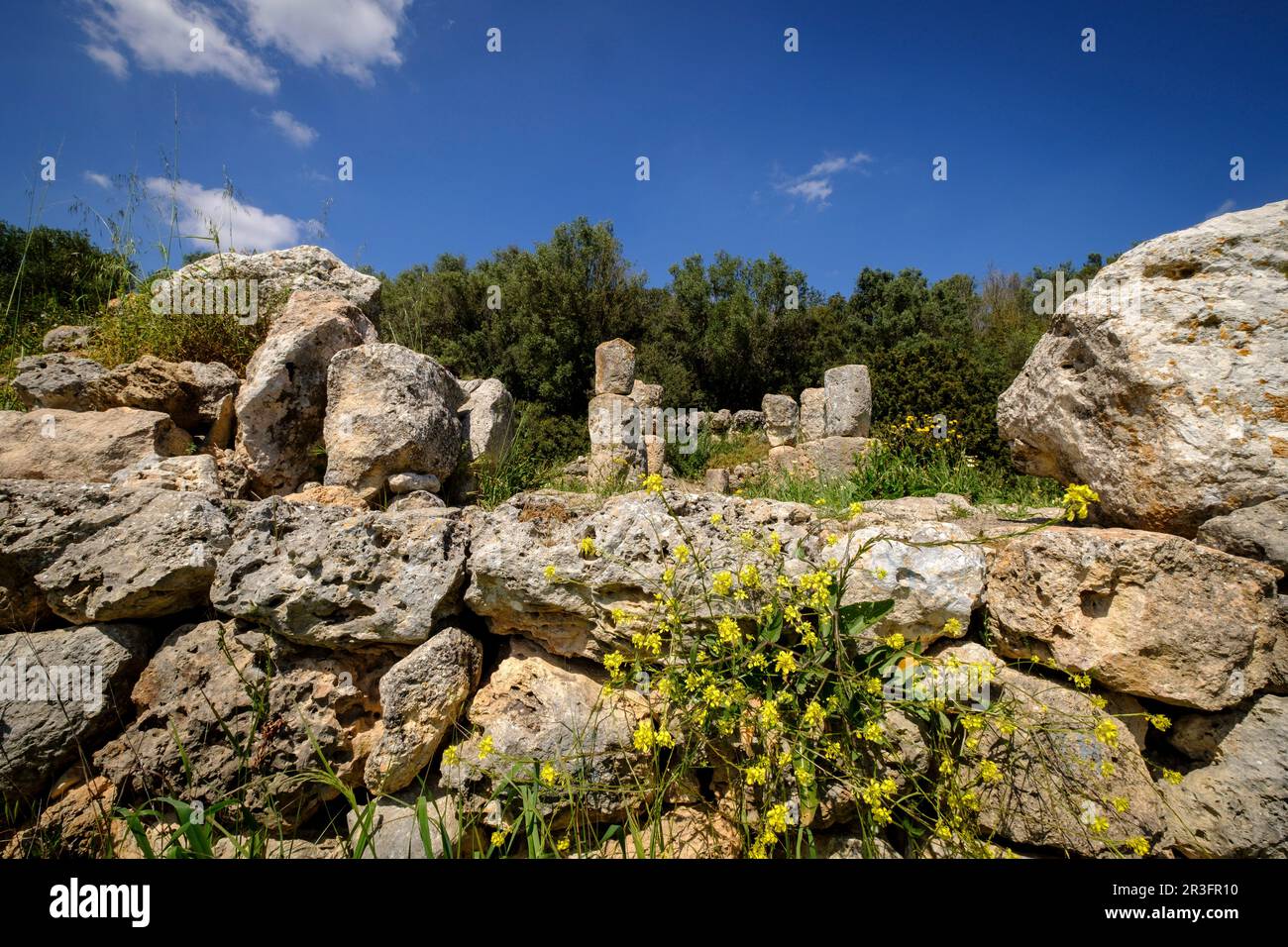 Son Corró , yacimiento arqueológico, datado en la época postalayótica (s.V-II A.c), SINEU, Isla de Mallorca, Iles Baléares, Espagne. Banque D'Images