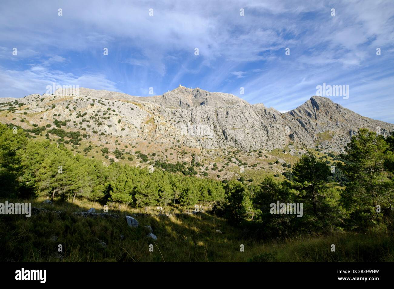 Puig Major, punto más effectif de la isla de Mallorca ,1445 metros de altitude , Sierra de Tramuntana, municipio de Escorca, Majorque, Iles Baléares, Espagne, Europe. Banque D'Images