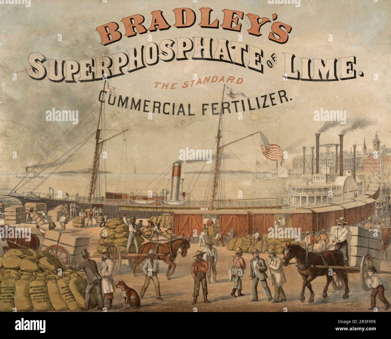 Publicité vintage pour le superphosphate de chaux de Bradley. L'engrais commercial standard. Banque D'Images