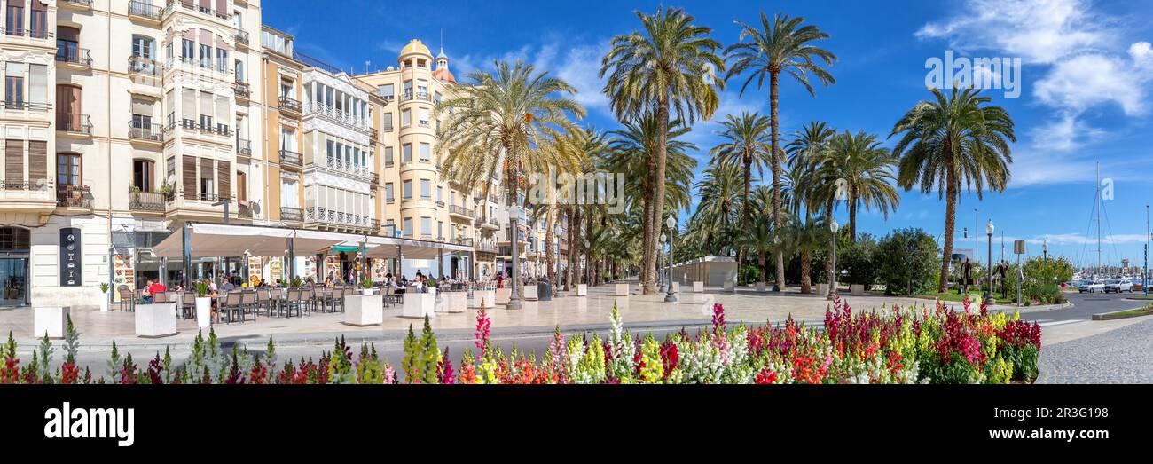 Alicante Alaquant Boulevard Esplanada d'Espanya vacances Voyage panorama de la ville en Espagne Banque D'Images