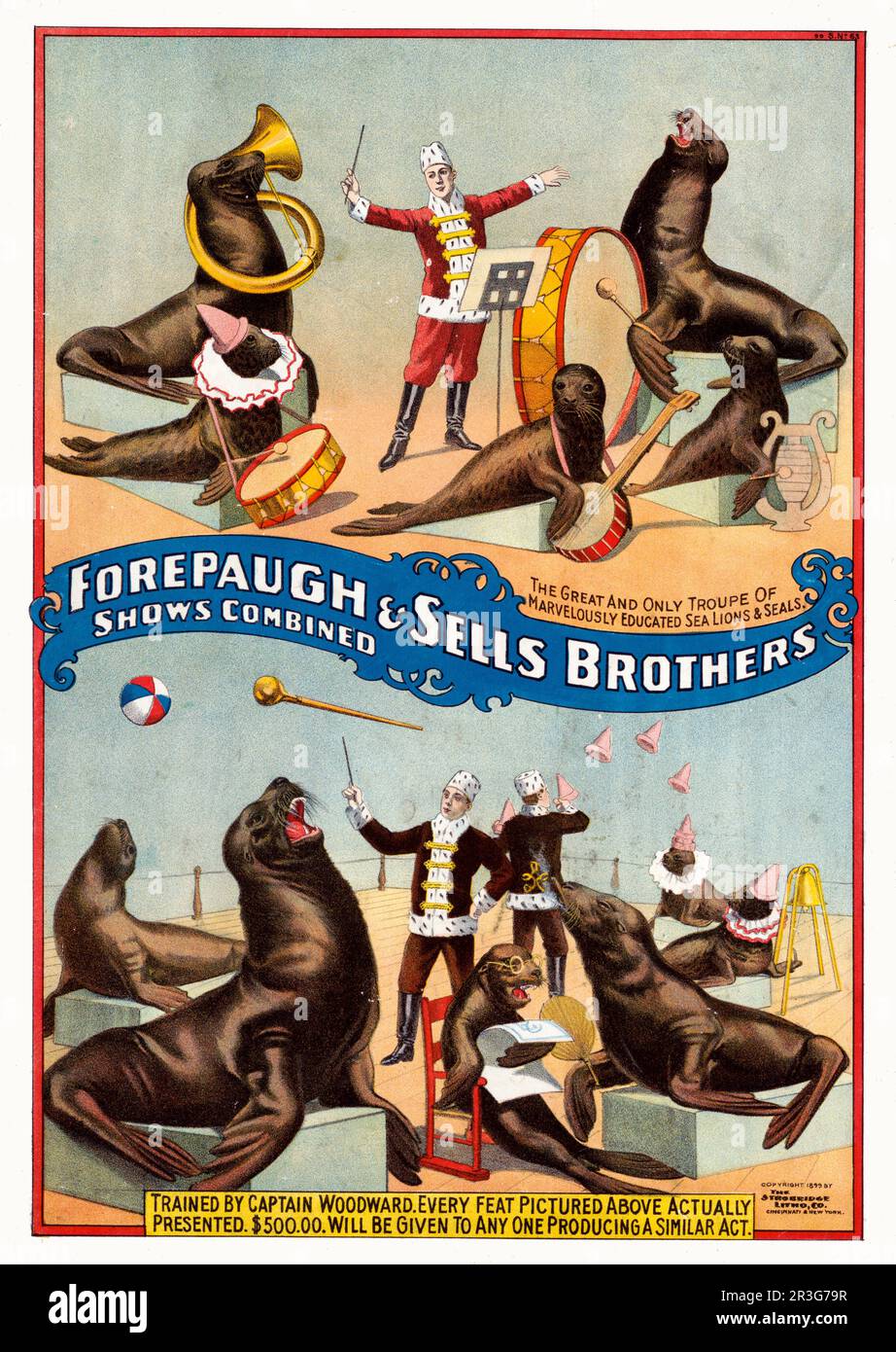 Forepaugh & vend une affiche de cirque des Frères montrant des otaries et des phoques en scène, vers 1899. Banque D'Images