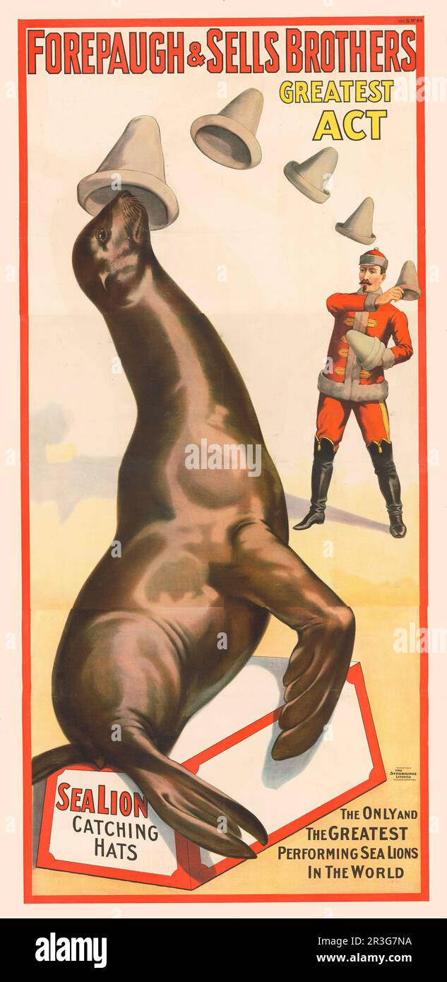 Affiche de cirque Forepaugh & vend Brothers vintage montrant un lion de mer qui attrape des chapeaux, vers 1900. Banque D'Images