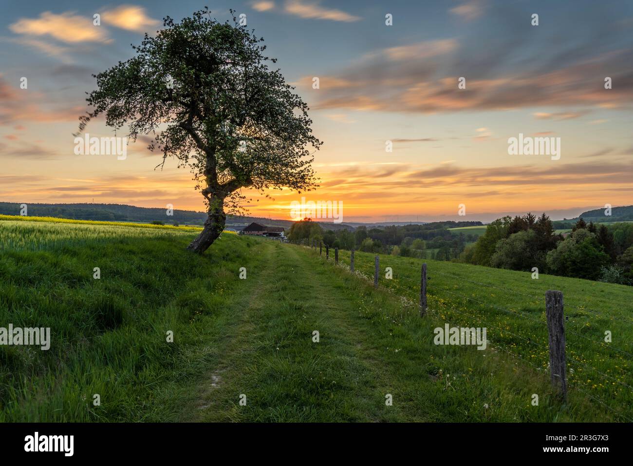 Entrez dans le coucher du soleil Banque D'Images