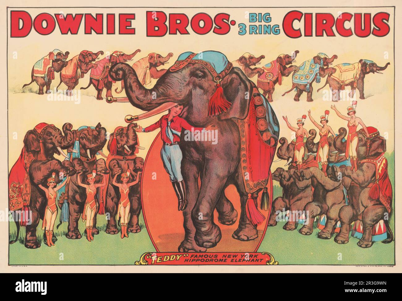 Affiche de cirque vintage Downie Brothers montrant des éléphants de spectacle avec des femmes et une formatrice. Banque D'Images