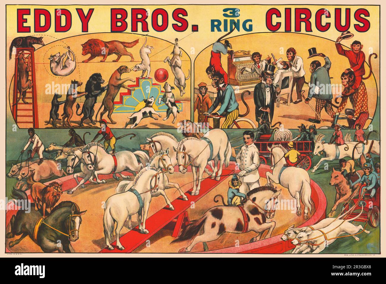 Affiche de cirque Eddy Brothers vintage montrant diverses scènes de cirque. Banque D'Images