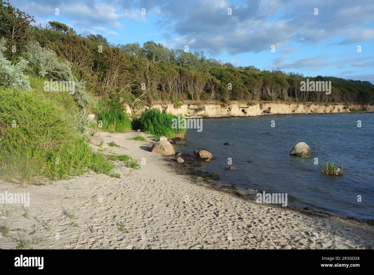 Côte escarpée sur la mer Baltique, île de Poel Banque D'Images