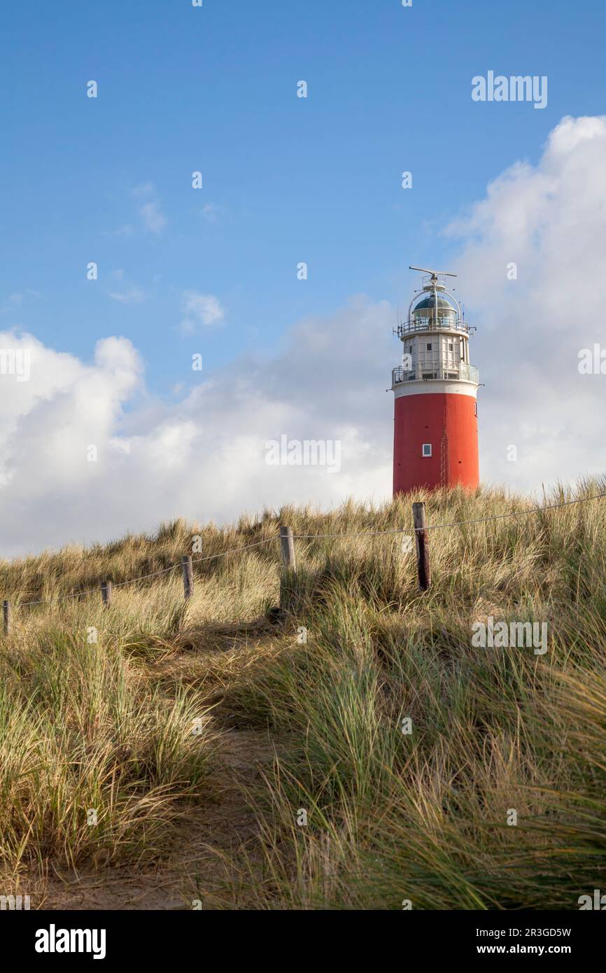 Eierland phare sur Texel Banque D'Images