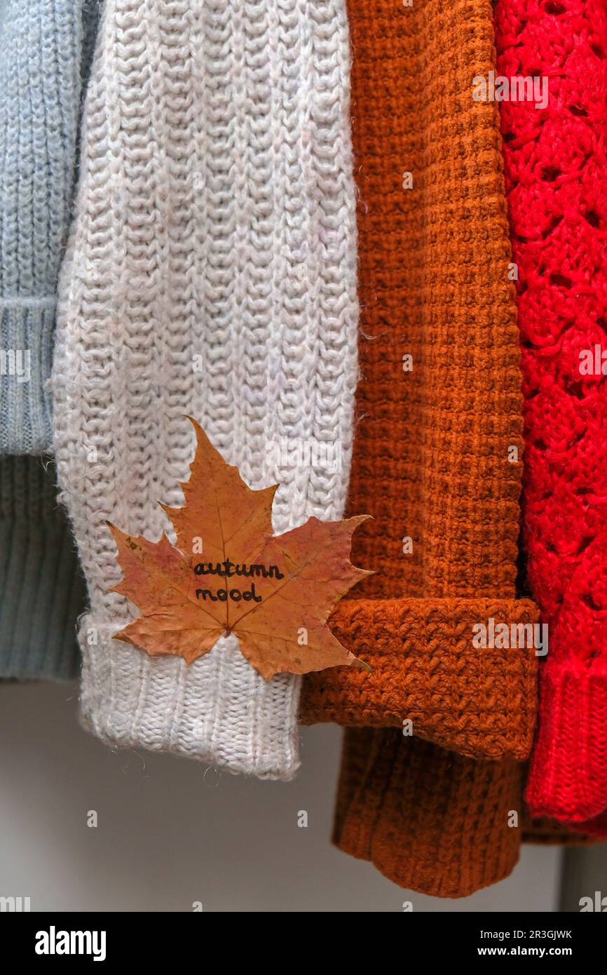 Concept d'automne. Feuille d'érable d'automne avec texte D'AMBIANCE AUTOMNALE sur un pull chaud et confortable. Pulls tricotés en laine et mohair. Style hygge Banque D'Images