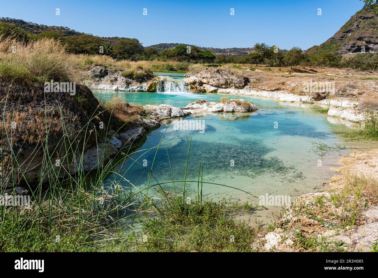 Fleuve turquoise, Wadi Darbat, Salalah, Oman Banque D'Images