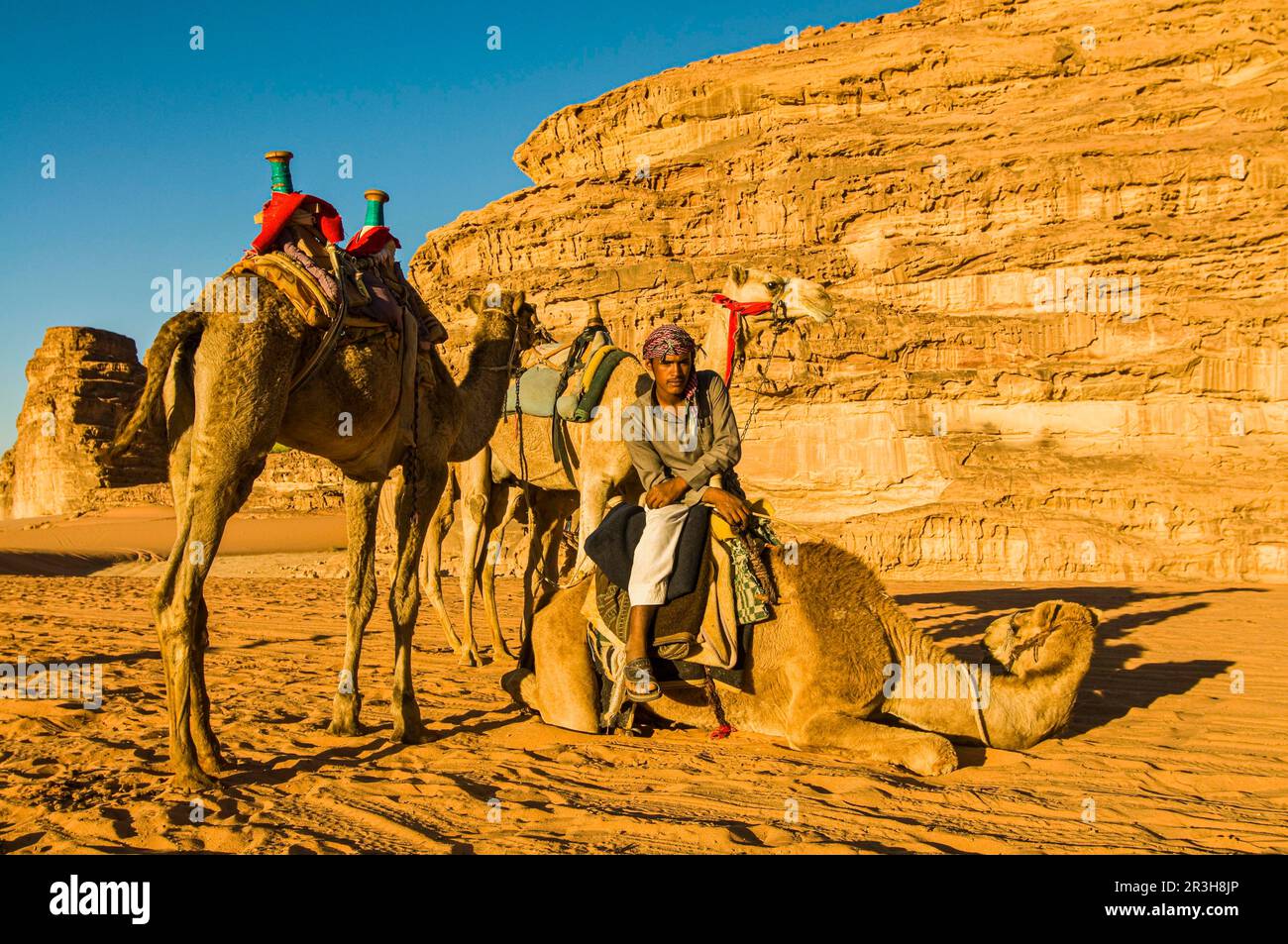 Ami Bédouin avec ses chameaux, Wadi Rum, Jordanie Banque D'Images