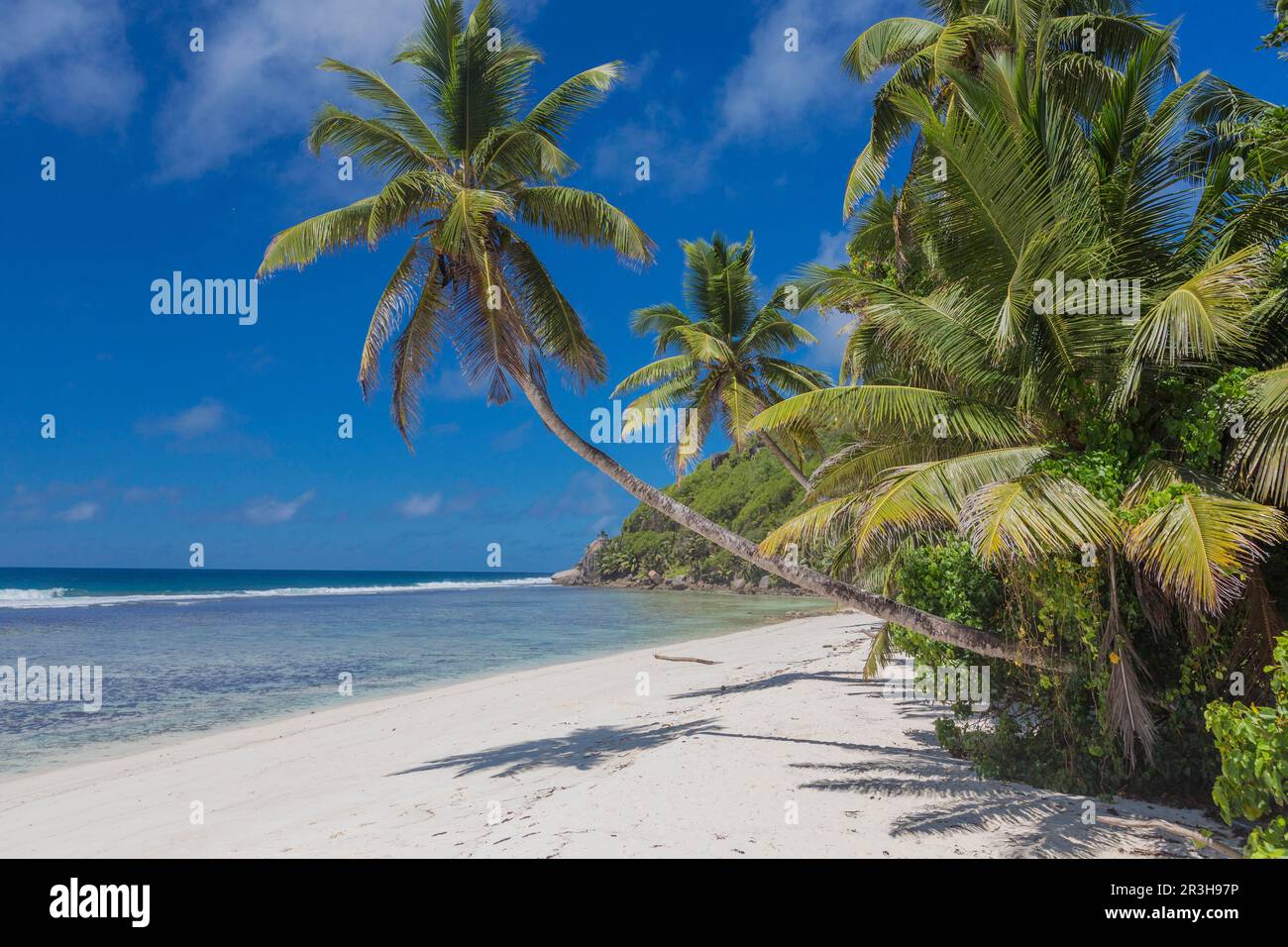 Plage Anse Royale, Mahe, Seychelles Banque D'Images