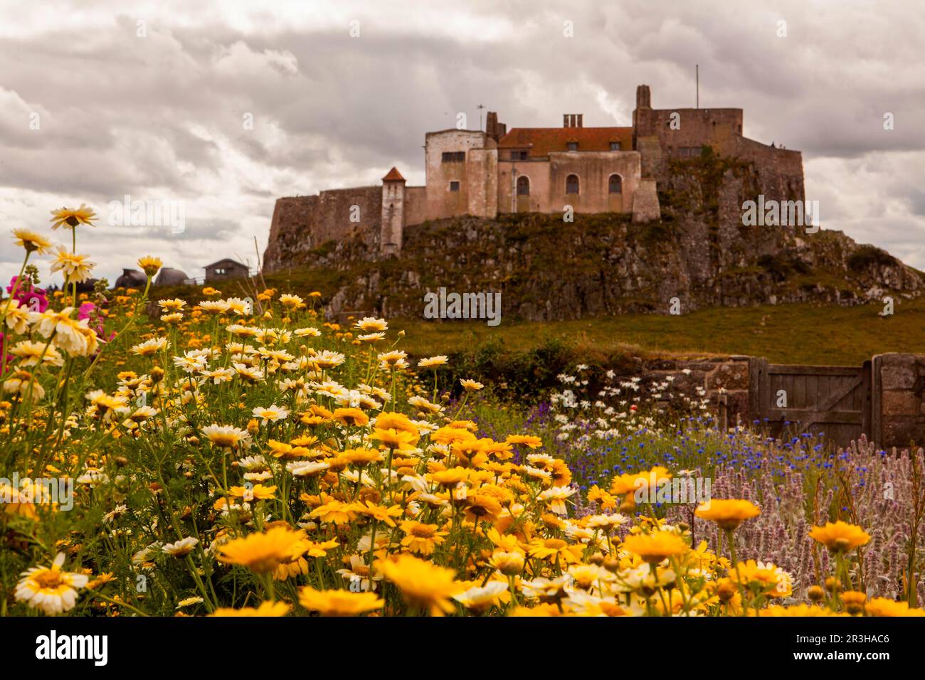 Château, Lindisfarne, Hol, Northumberland, Angleterre, Royaume-Uni, Islande Banque D'Images