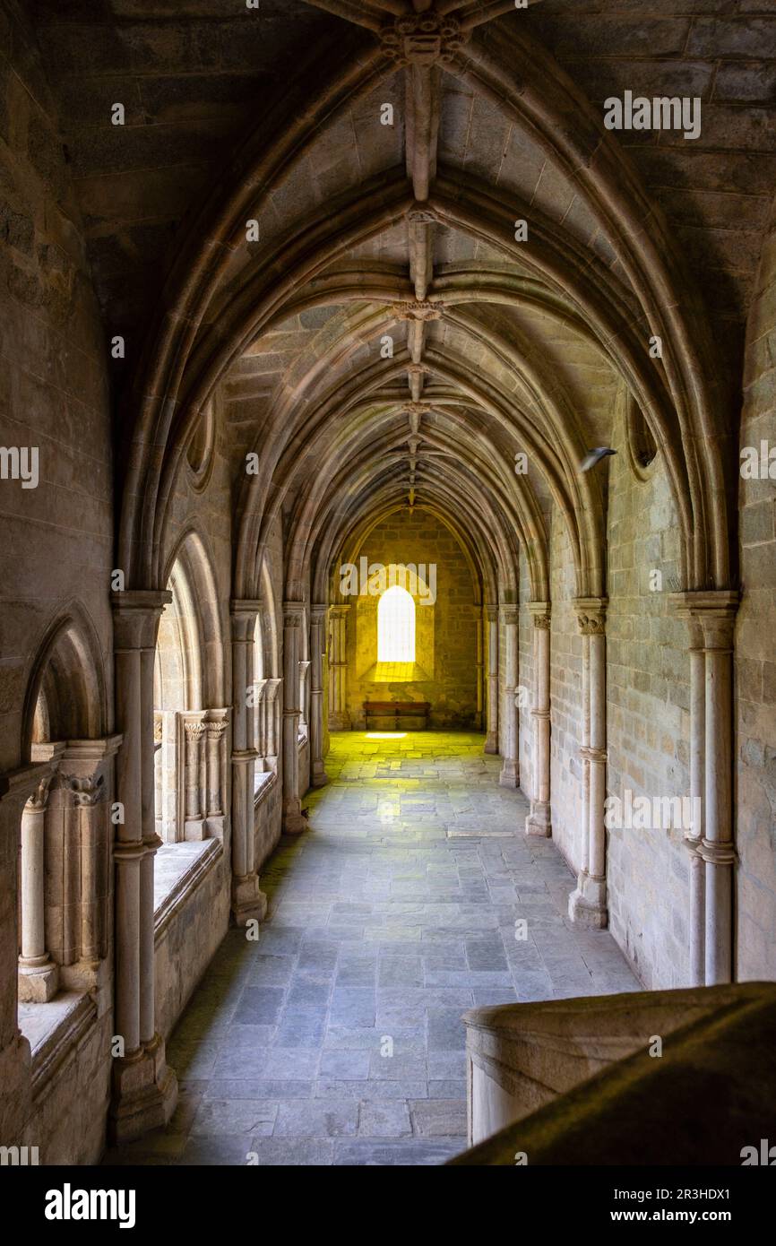 Claustro, construido entre 1317 y 1340, estilo gótico, catedral de Évora, Basílica Catedral Sé de Nossa Senhora da Assunção, Évora, Alentejo, Portugal. Banque D'Images