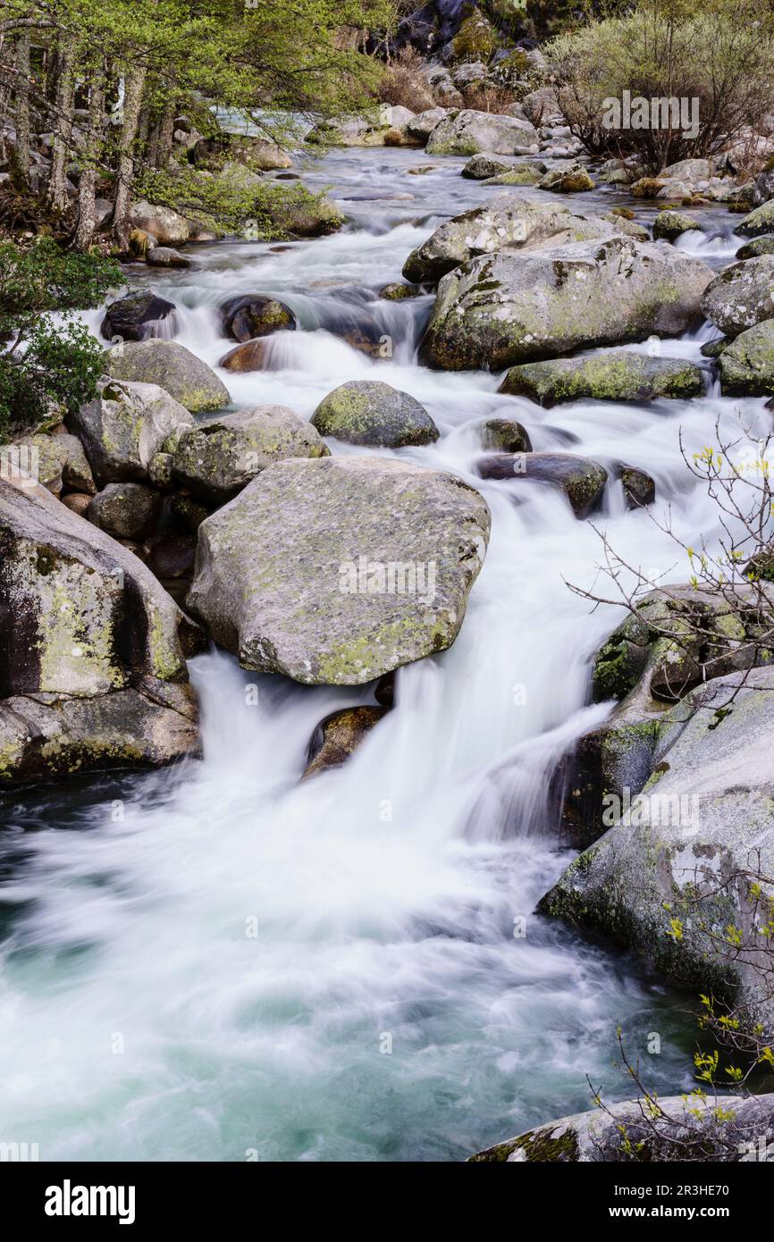 Los Pilones, reserva natural Garganta de los Infiernos, sierra de Tormantos, Valle Del Jerte, Cáceres, Extremadura, Espagne, Europa. Banque D'Images