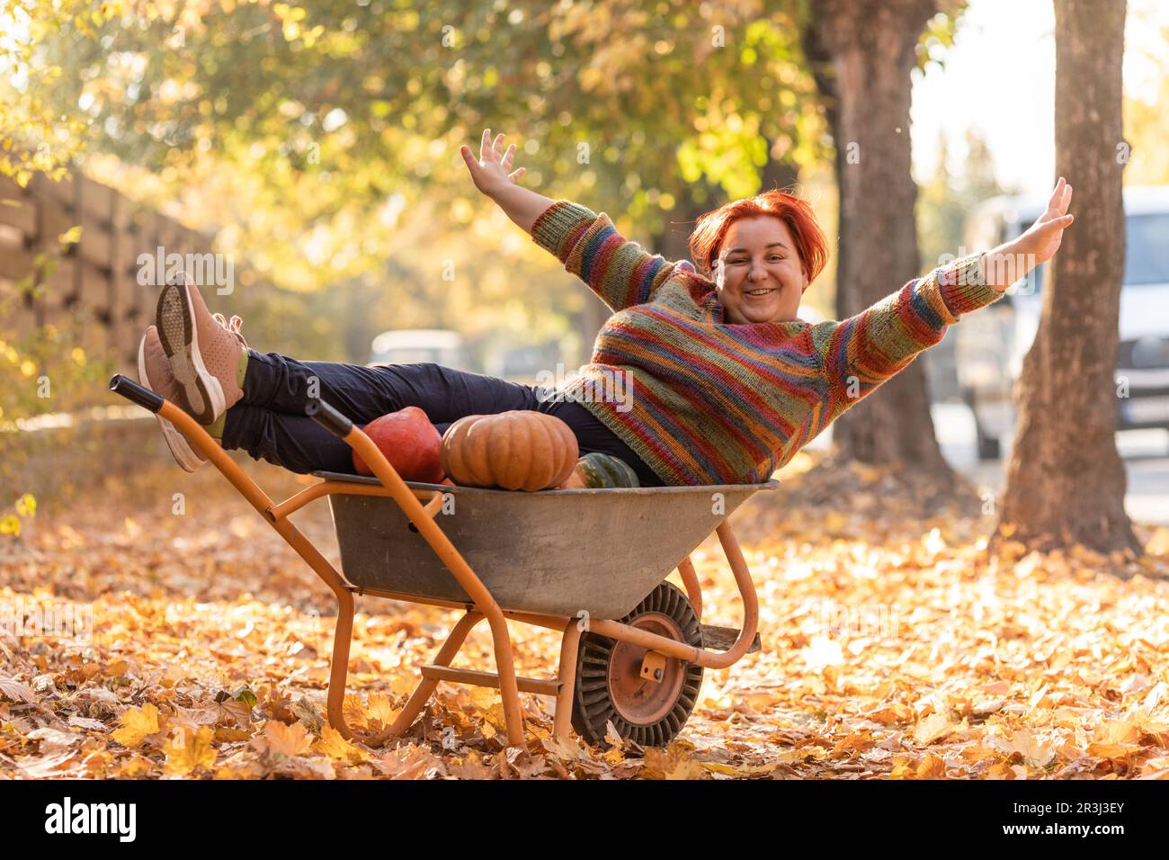 Une femme s'amuse, couchée dans la brouette du jardin avec des citrouilles Banque D'Images