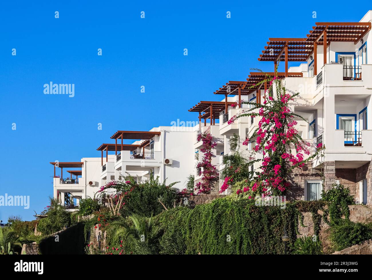 Maisons d'été blanches traditionnelles à Bodrum, Turquie. Concept de vacances d'été Banque D'Images