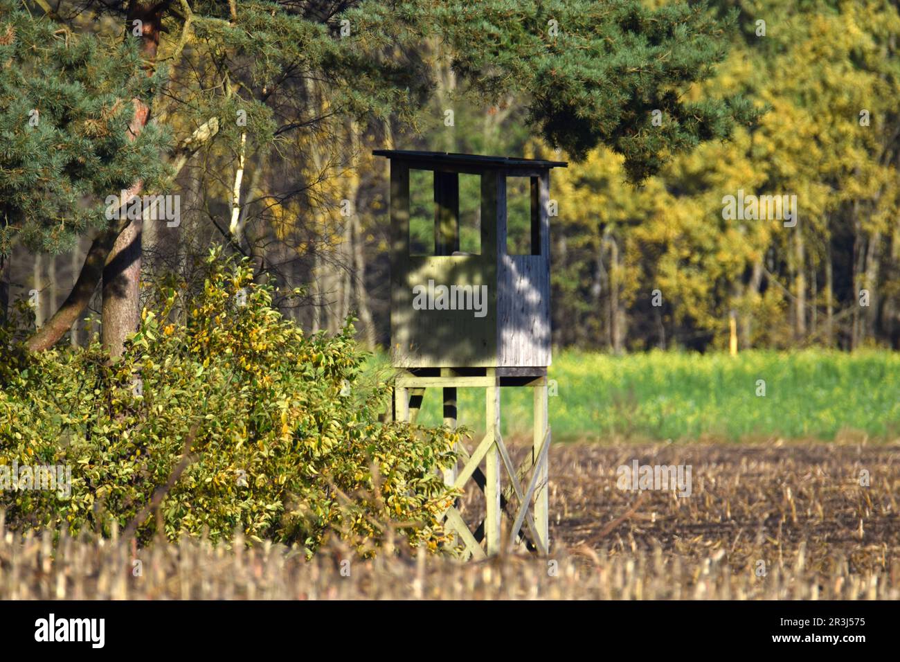 Siège en automne Banque D'Images