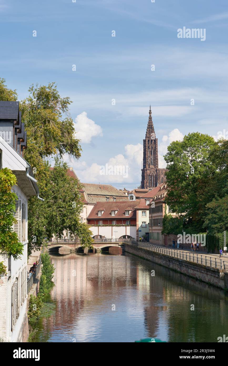 Vieille ville de Strasbourg en France sur la rivière Ill. En arrière-plan la cathédrale de Strasbourg. Banque D'Images