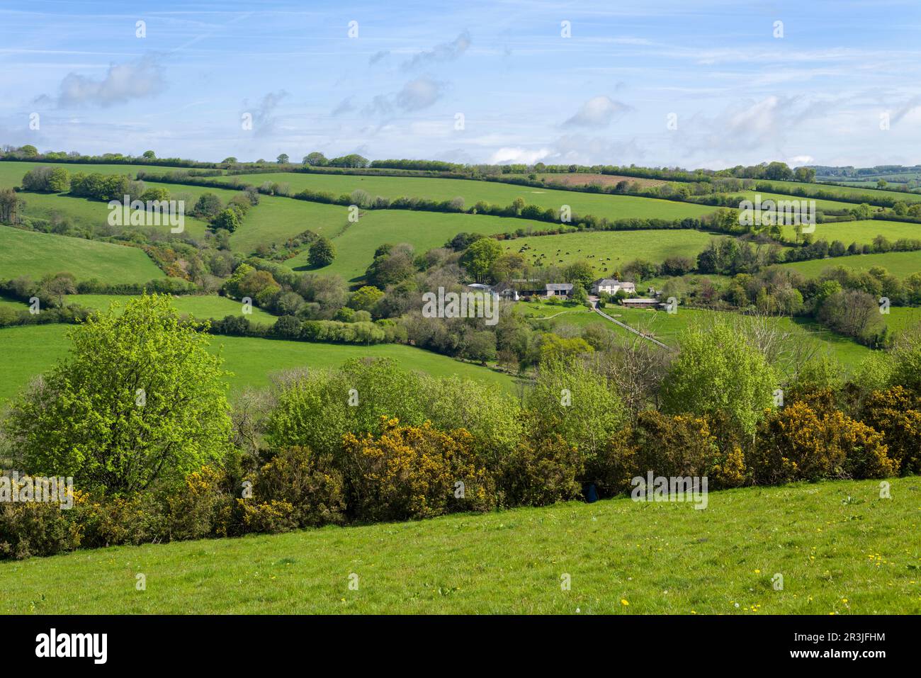 Rowes Farm près de Clatworthy dans les collines de Brendon, Somerset, Angleterre. Banque D'Images