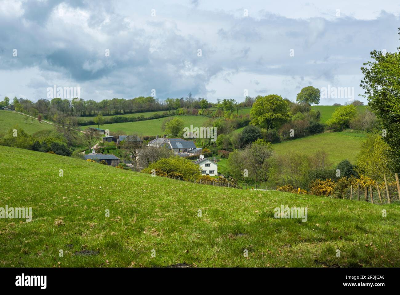 Stolford dans les collines de Brendon au printemps près de Clatworthy, Somerset, Angleterre. Banque D'Images