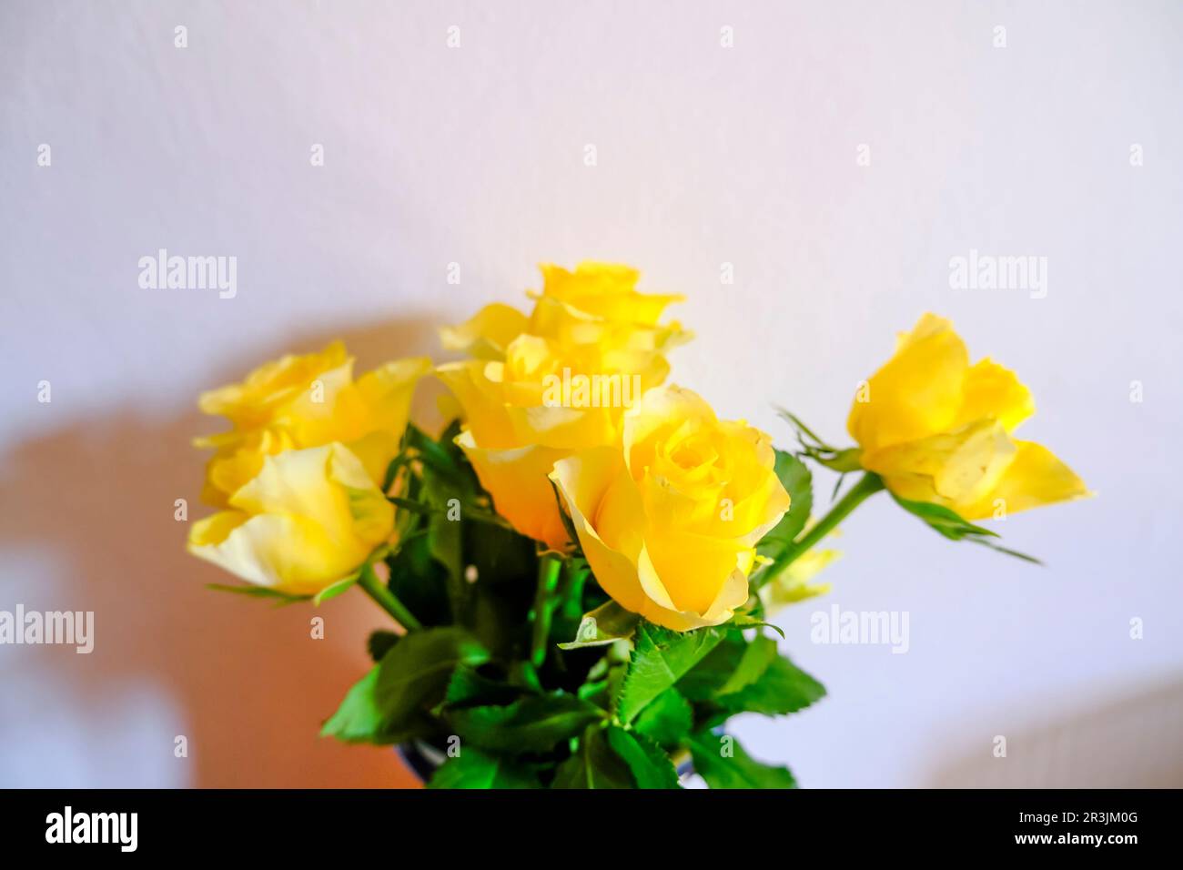 bouquet de roses jaunes sur fond blanc. Vue de dessus. Copier l'espace. Maquette fleurie. Banque D'Images