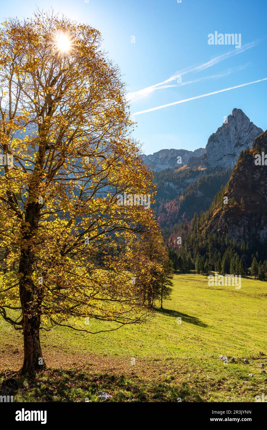 Randonnée dans les Alpes d'Ammergau en bavière en automne Banque D'Images