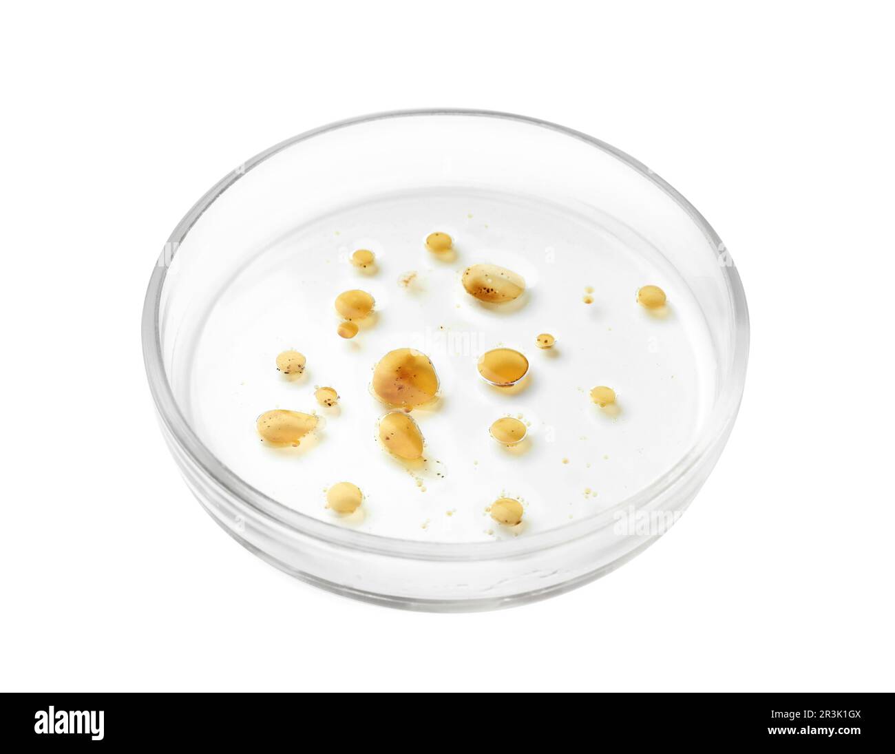 Boîte de Pétri avec bactéries sur fond blanc Banque D'Images