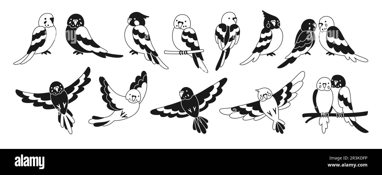 Parrot ensemble de nouilles tropicales. Collection d'oiseaux volant et assise exotiques sauvages d'été. Faune jungle hawaïenne perroquets mignons, drôle de jolis personnages de parakeet dessin à la main linéaire glyphe illustration vecteur Illustration de Vecteur