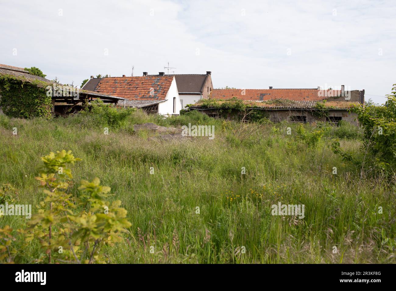 Village abandonné de Manheim près de la mine de lignite de Hambach à ciel ouvert au printemps 2023 Banque D'Images