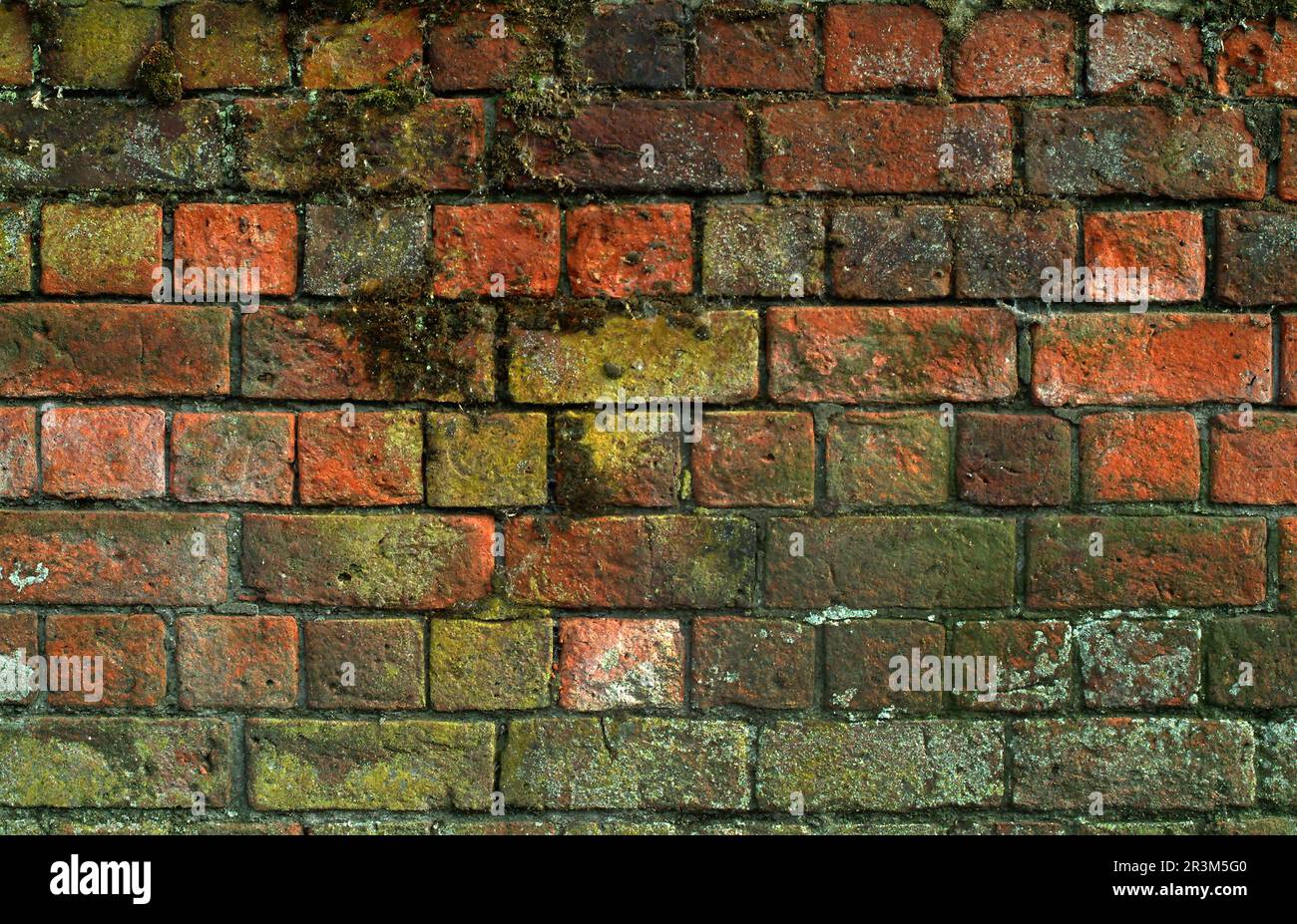 mur de briques Banque D'Images