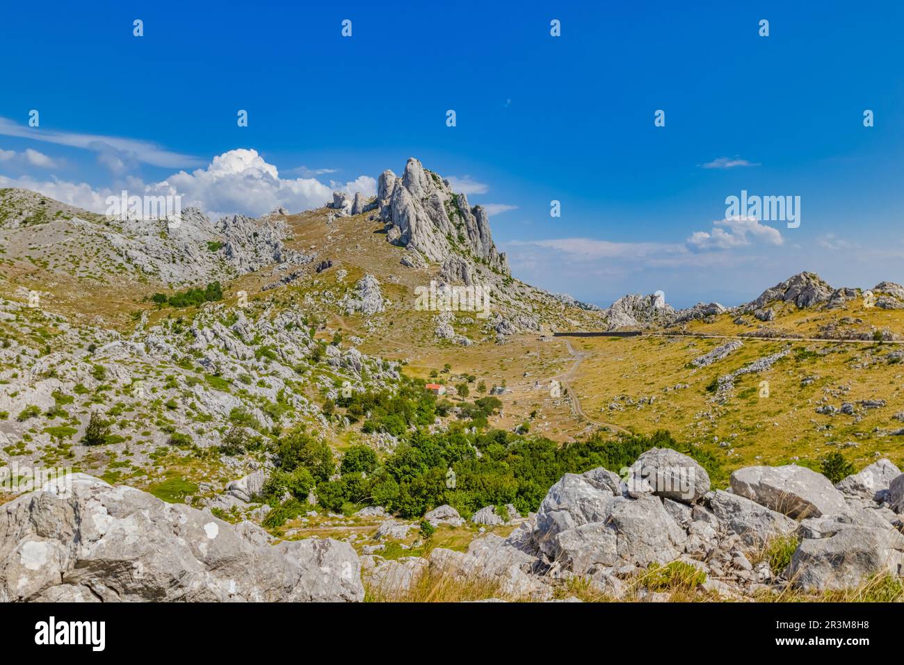 Paysage de montagne vert en été Banque D'Images